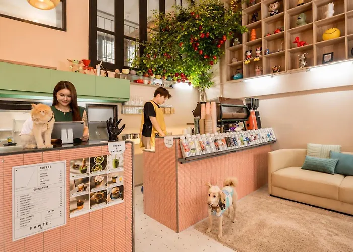Pawtel 曼谷